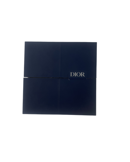 Dior Porte clés X Stussy