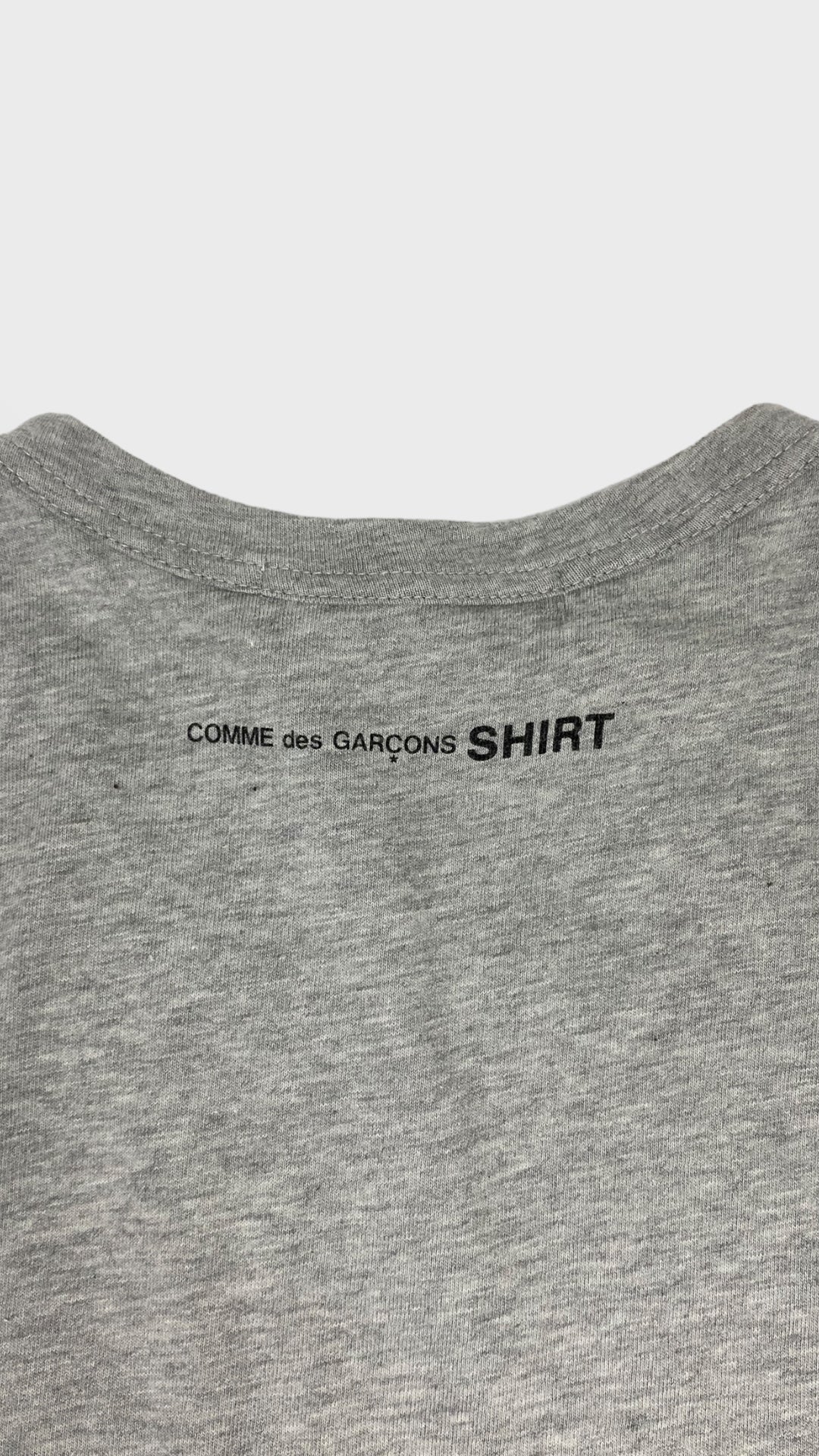 Comme des garçons tee-shirt (M)