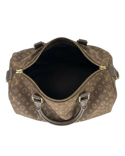 Louis Vuitton Speedy 30 sac à main