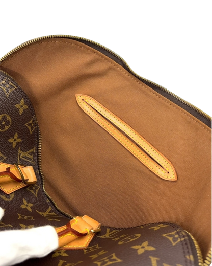 Louis Vuitton Alma PM sac à main