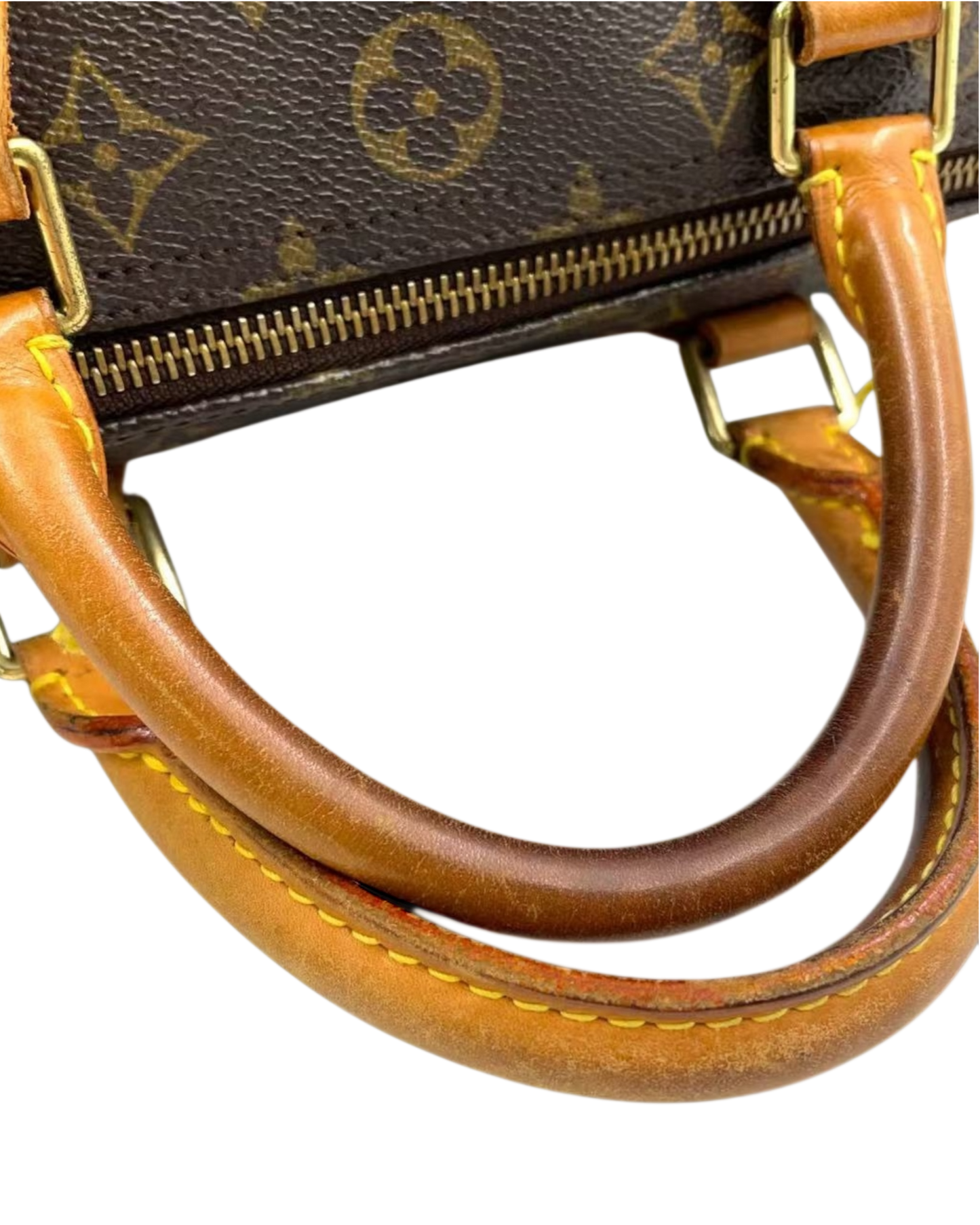 Louis Vuitton speedy 30 sac à main