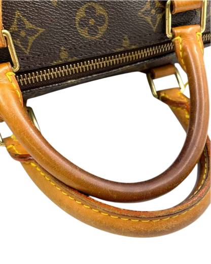 Louis Vuitton speedy 30 sac à main