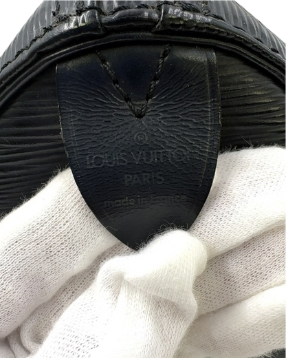 Louis Vuitton speedy 25 épi