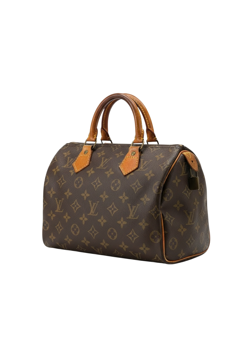 Louis Vuitton speedy 30 sac à main