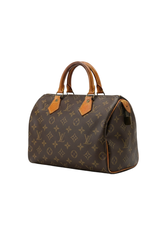 Louis Vuitton speedy 30 sac à main