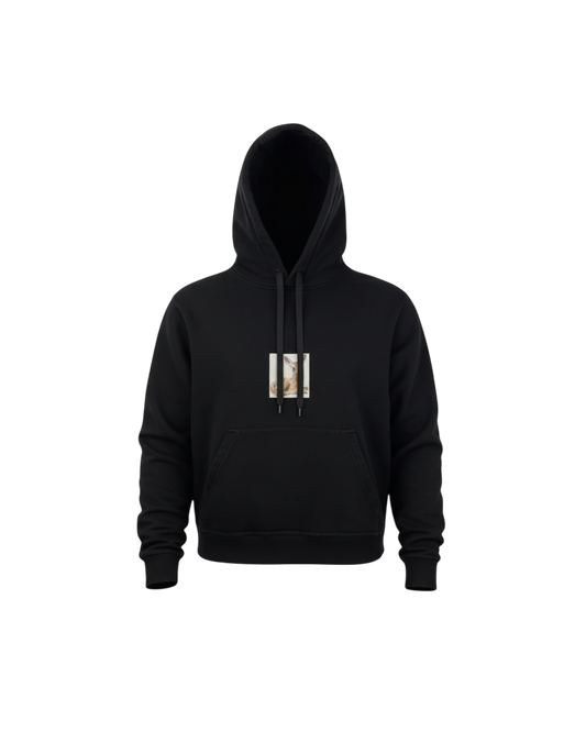 Burberry pull à capuche