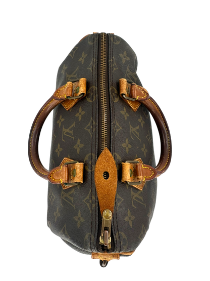 Louis Vuitton speedy 30 sac à main