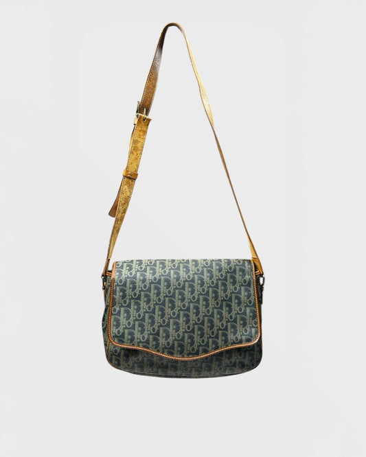 Dior leather satchel / sac