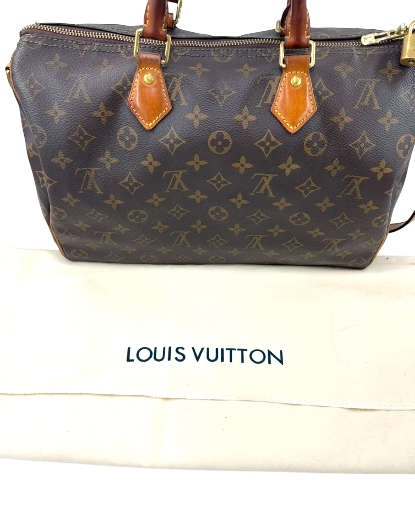 Louis Vuitton sac à main