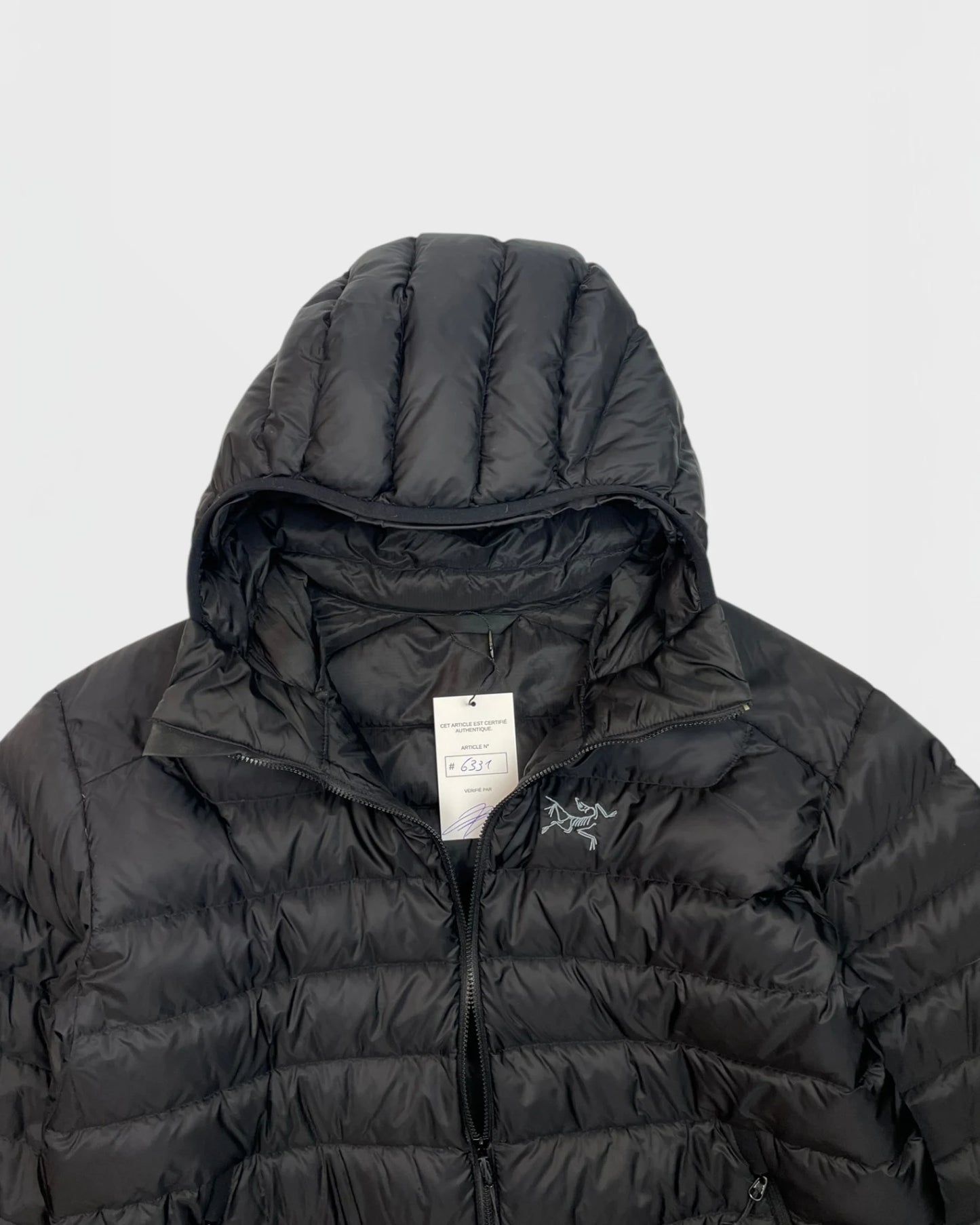 Arc'teryx veste